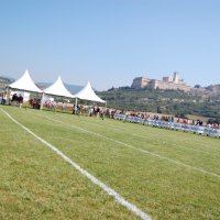 Assisi Endurance